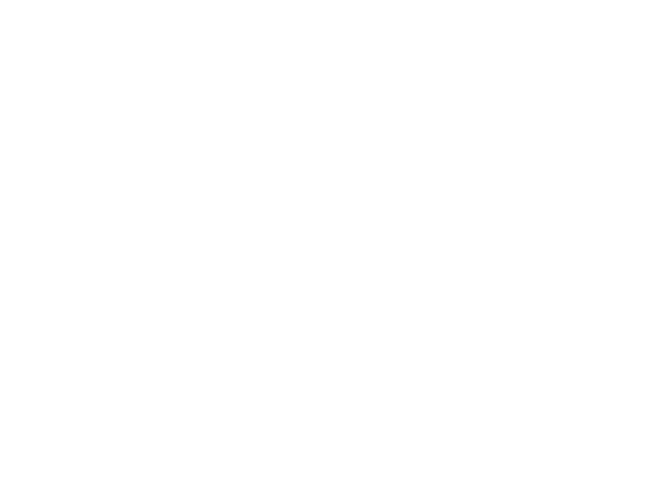 Ferrys-1.webp