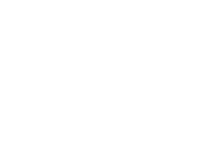 Nike-300x219-1-1.webp