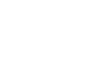 PASCH-300x219-1-1.webp