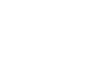 Sinaclo-300x219-1-1.webp
