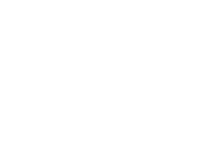 Zigurat-300x219-1-1.webp