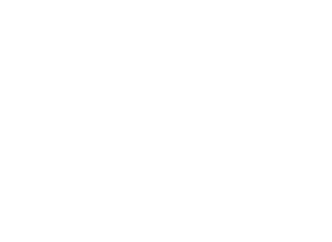 telefonica.webp